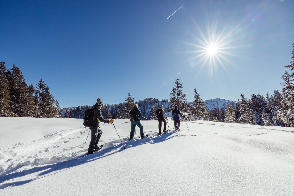 Eine Gruppe, bestehend aus vier Personen macht gerade eine Schneeschuhwanderung durch die verschneite Landschaft in Alpbach | © Alpbachtal Tourismus | shootandstyle