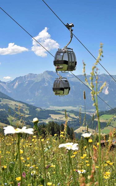 Zwei Gondeln, im Hintergrund schöne Bergkulisse, im Vordergrund eine prachtvolle Blumenwiese  | © Alpbachtal Tourismus | Gabriele Grießenböck 