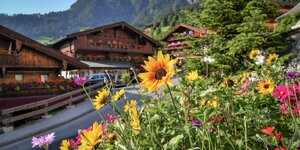 Im Vordergrund eine bunte Blumenpracht, im Hintergrund die einzigartigen Häuser im Alpbacher Baustil  | © Alpbachtal Tourismus 