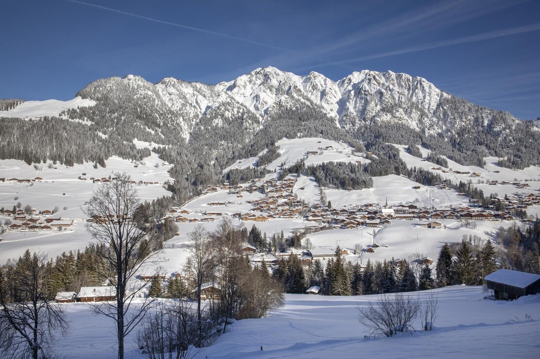 Alpbach Dorfblick von der Neader