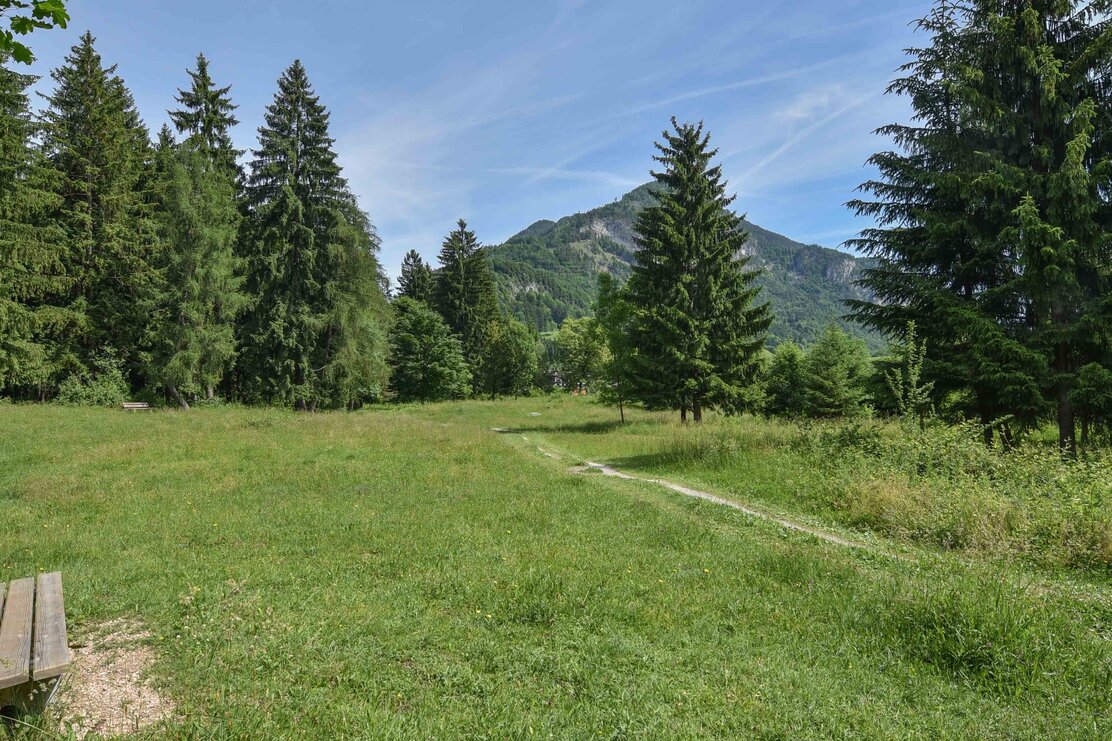 Fitnessmeile Picknickplatz Wald und Wiese | © Birgit Angermair