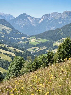 Blick Tal auswärts | © Gabriele Grießenböck