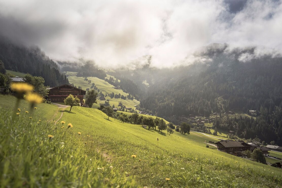 Alpbach Blick auf Erbhof