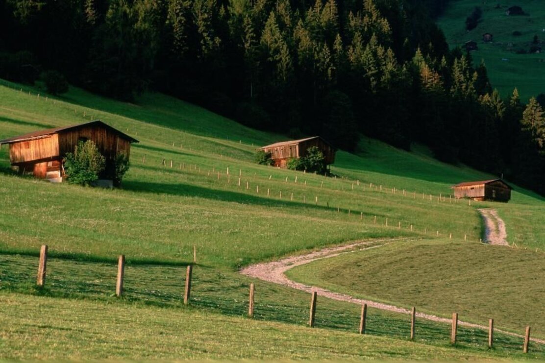 Alpbach