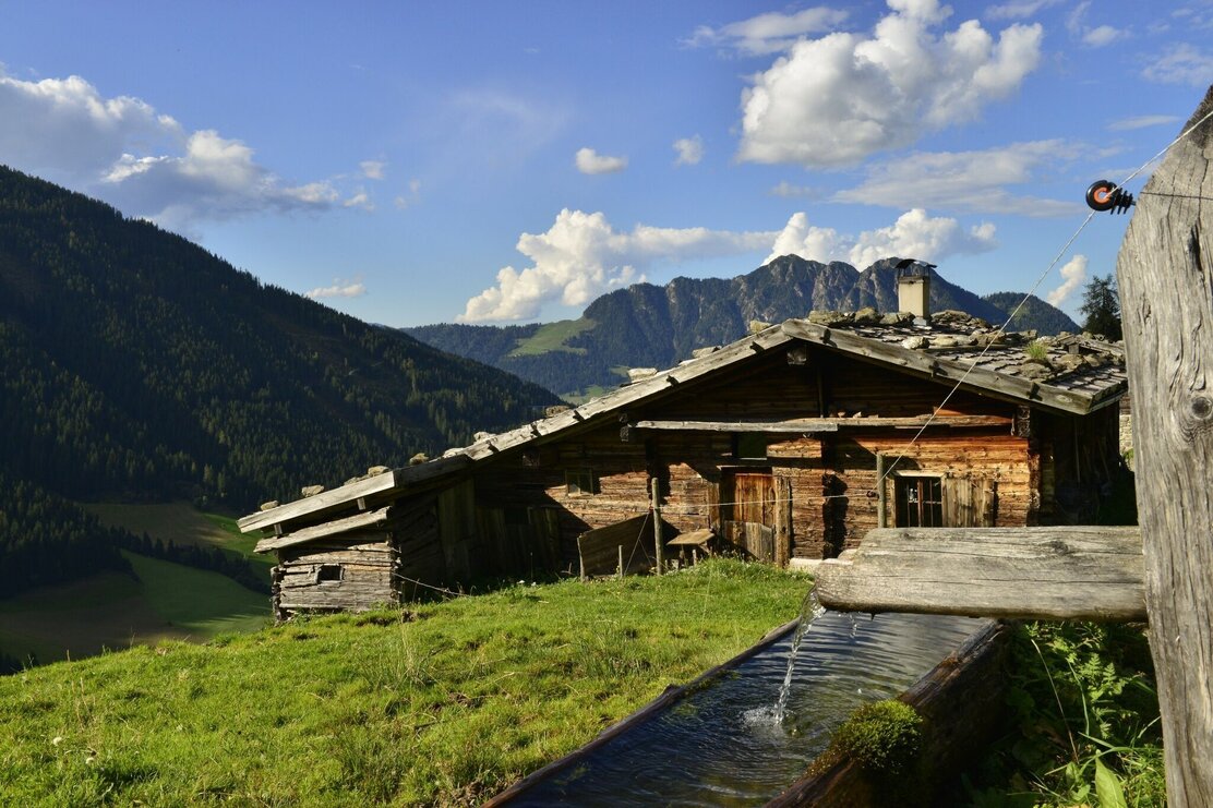 Stettauer Alm im Sommer | © Bernhard Berger