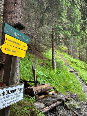 Schützensteig Richtung Großer Galtenberg