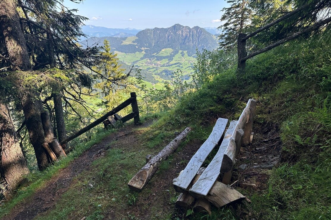 Aussichtsbank Schützensteig Richtung Großer Galtenberg