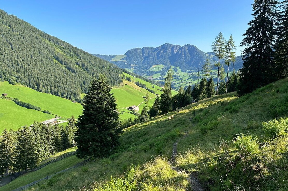 Jagdsteig Weg Inneralpbach - Stettauer Almen