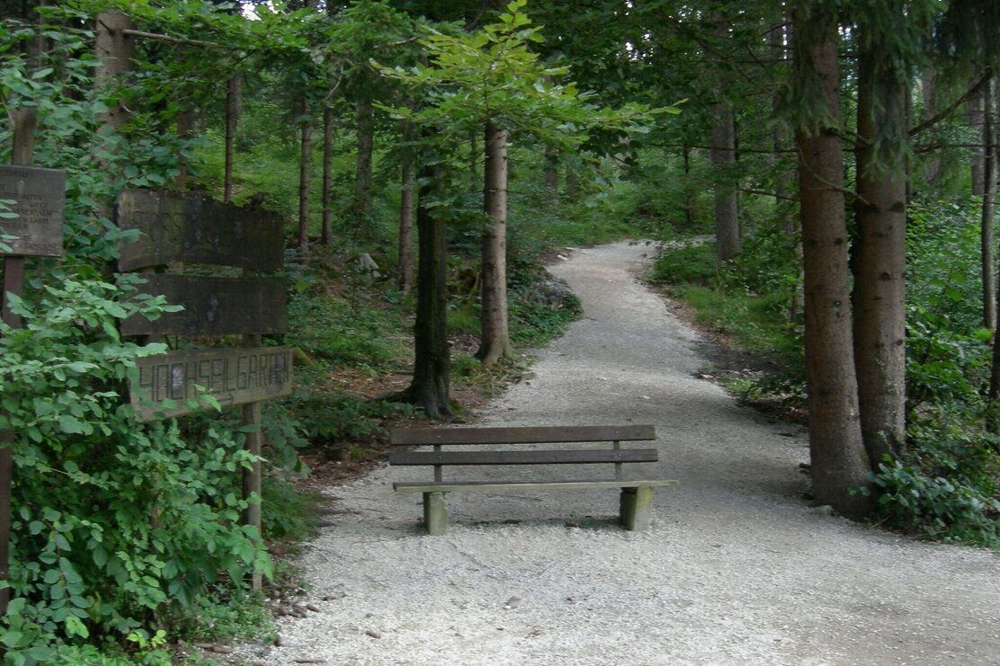 Waldweg Fitnessmeile Kramsach | © Birgit Angermair