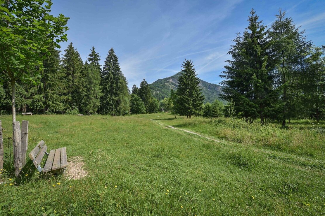 Fitnessmeile Picknickplatz Wald und Wiese | © Birgit Angermair