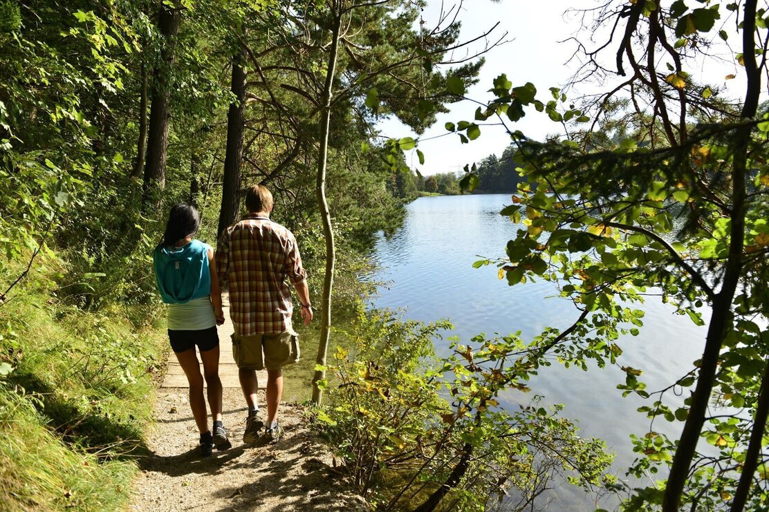 Kramsach, Reintalersee Uferweg, Spazieren, Wandern