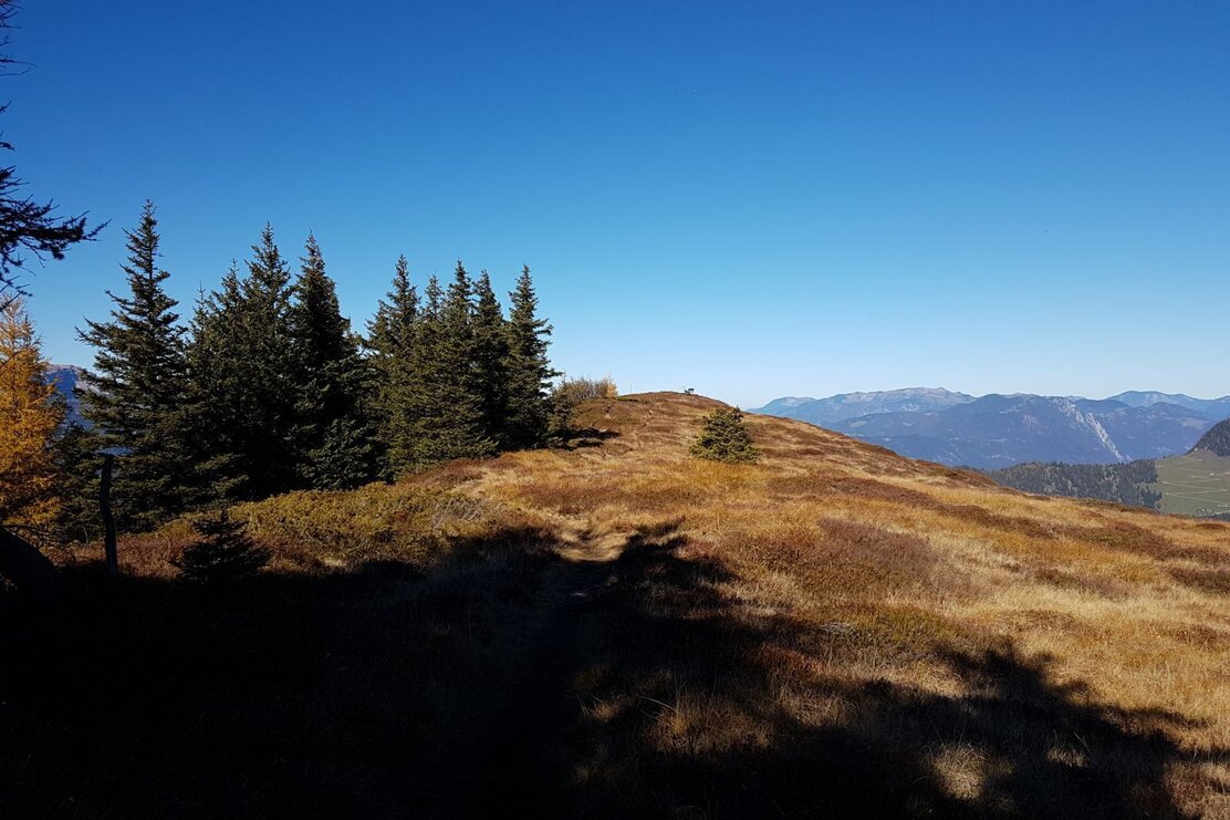 Wanderung zum Loderstein | © Magdalena Hechenblaikner