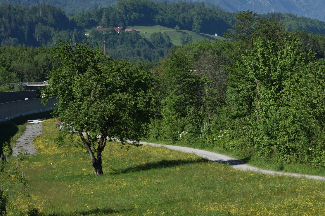 MotivaTOUR Radweg Wiese | © Gabriele Grießenböck