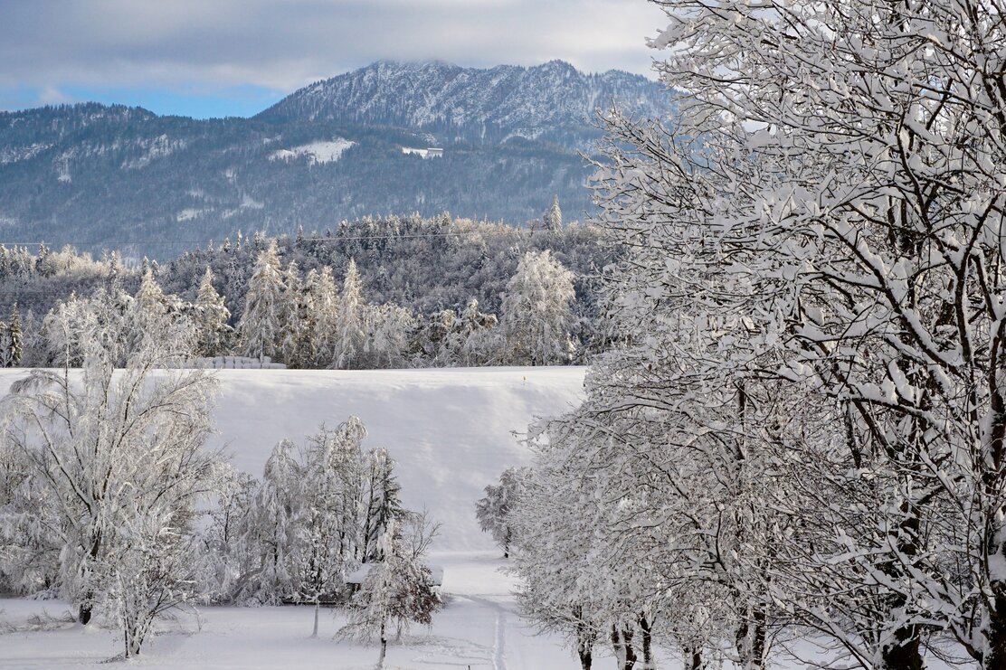 Winterwandern am Reintalersee in Kramsach