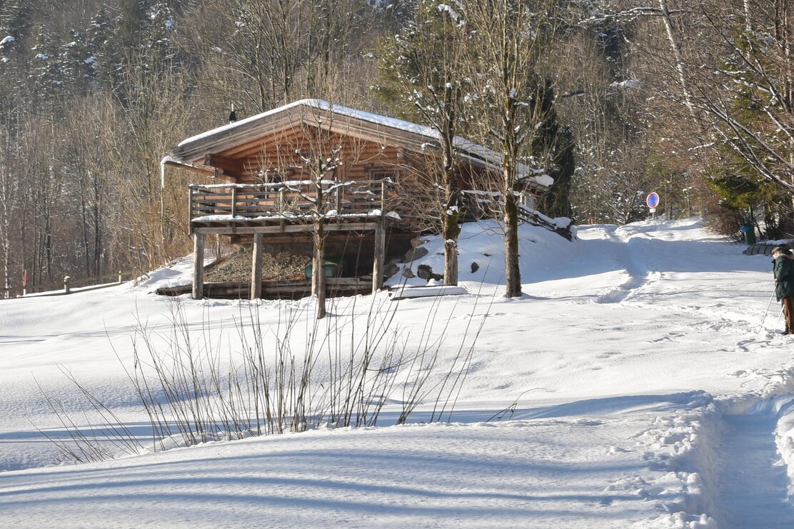 Winterwandern am Reintalersee in Kramsach