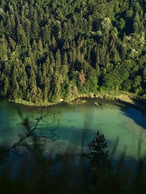 Blick auf Reintalersee Thomas Kargl | © Thomas Kargl