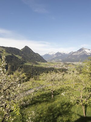 Sommer Pinzgerhof (2) | © Fam. Kammerlander