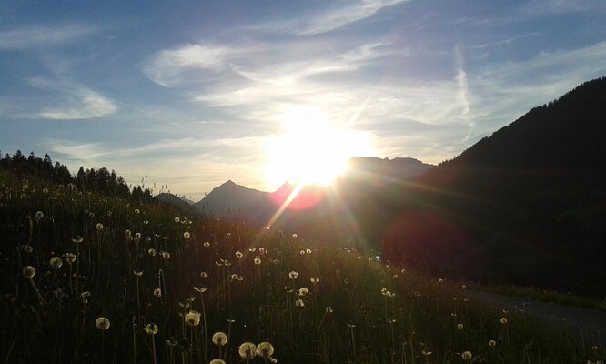 Moahof Appartements Alpbach, Sonnenuntergang | © Klingler Sandra