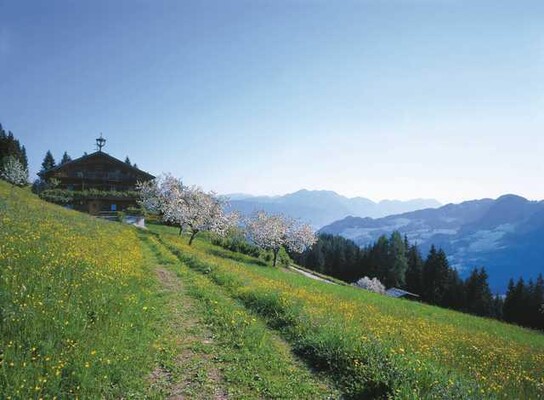 Landschaft Alpbach | © Haus Theresia