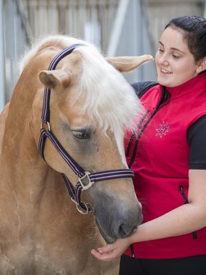 Glückliche Haflinger beim Hauserwirt | © Hotel Hauserwirt Münster