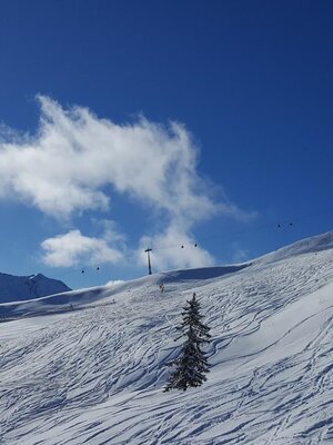 Alpbach_Winter_Skijuwel_Schigebiet | © Rosenhofs Almhütte