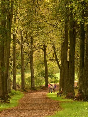 Matzenpark im Herbst | © Alpbachtal Tourismus / Bernhard Berger